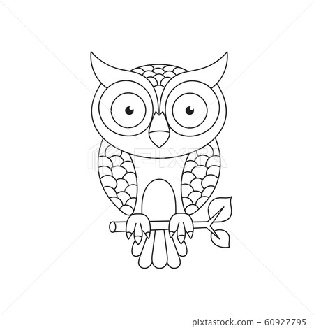 Owl Isolated On White Background Suitable For Owl Isolated On White Background Suitable For 60927795