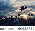 Sunset and Cosmos 60928734