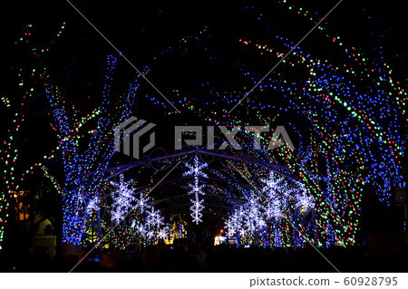 OSAKA Hikari Renaissance 2019 60928795