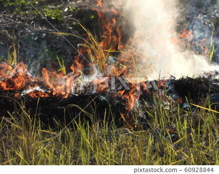 Flame of field grill Flame of field grill 60928844