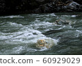 Nagatoro rock face and clear stream 60929029