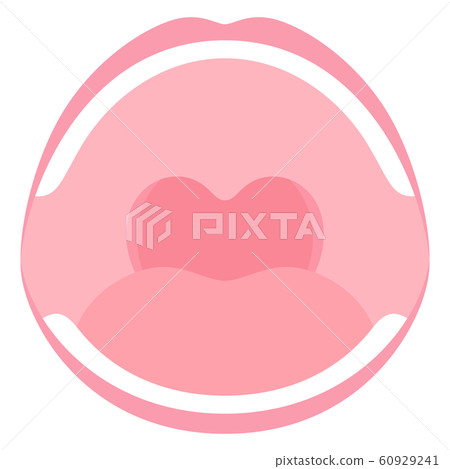 Illustration of oral cavity Illustration of oral cavity 60929241