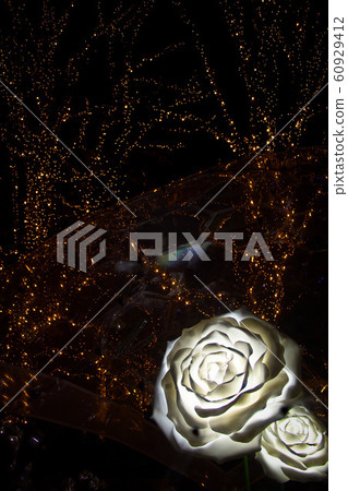 ROHM illumination 2019 60929412