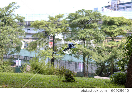 Huashan 1914 Cultural and Creative Industry Park Huashan 1914 Cultural and Creative Industry Park 60929640
