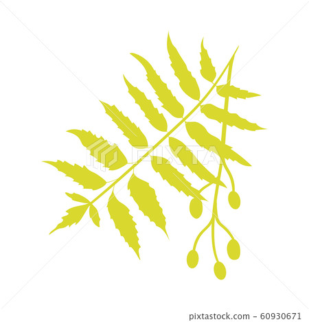 Nimtree, medicinal icon isolated on white Nimtree, medicinal icon isolated on white 60930671