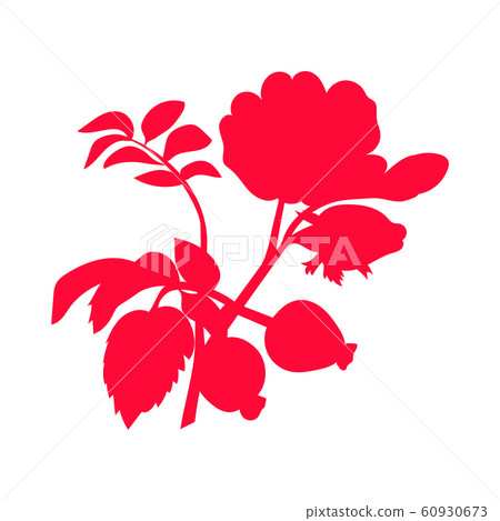 Red rosehip berry flat icon with inscription Red rosehip berry flat icon with inscription 60930673