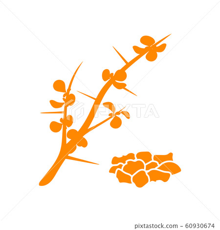 Myrrh, or African myrrh, or herbal myrrh, or Myrrh, or African myrrh, or herbal myrrh, or 60930674