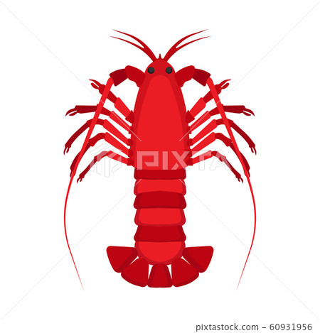 Lobster animal top view vector flat icon. Seafood Lobster animal top view vector flat icon. Seafood 60931956