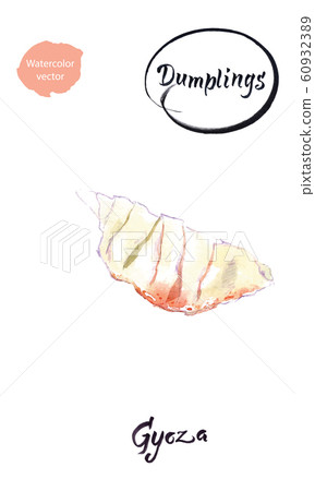 Asian dumpling Gyoza watercolor vector illustration Asian dumpling Gyoza watercolor vector illustration 60932389