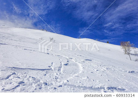 Fresh snow spur 60933314