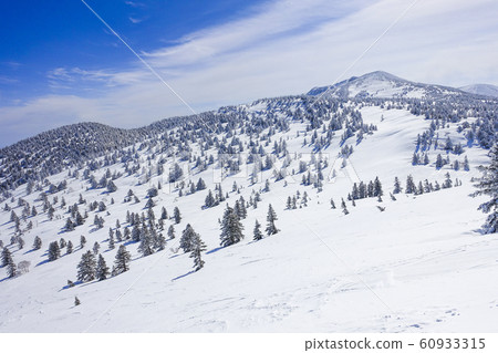 Rime field in snowy mountains 60933315
