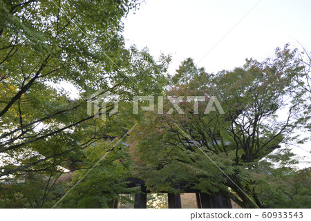 Nanzenji Nanzenji 60933543