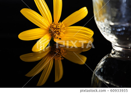 Flowers and sake Flowers and sake 60933935