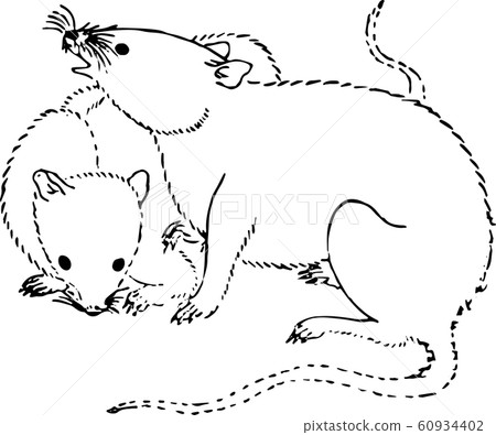 White mouse White mouse 60934402