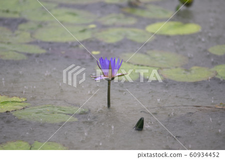 training training 60934452