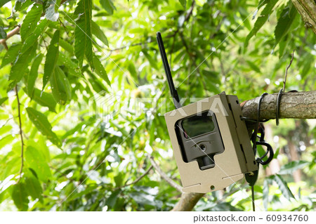 Vermin surveillance camera Vermin surveillance camera 60934760