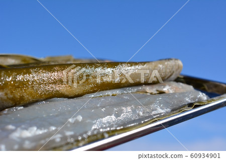 5 pieces of flounder grated kelp tightened, the first day of tightening, sashimi, handmade, salted koji, home cooking, Japanese food, ingredients image material 5 pieces of flounder grated kelp tightened, the first day of tightening, sashimi, handmade, salted koji, home cooking, Japanese food, ingredients image material 60934901