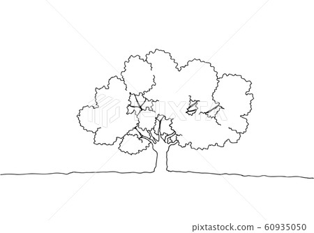 Wood drawing Wood drawing 60935050