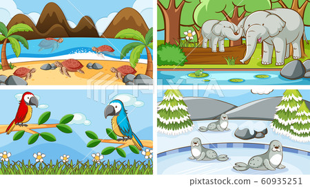 Background scenes of animals in the wild 60935251
