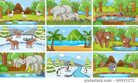 Background scenes of animals in the wild Background scenes of animals in the wild 60935272