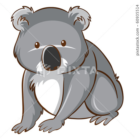 Cute koala on white background - Stock Illustration [60935514] - PIXTA