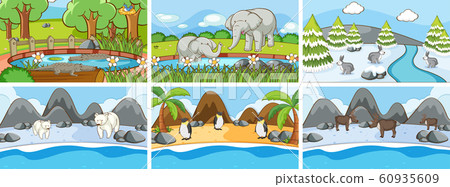 Background scenes of animals in the wild 60935609