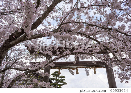 新多摩神社@鳥居 60935624