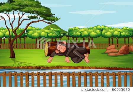 Scene with chimpanzee in the park Scene with chimpanzee in the park 60935670