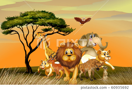 Many wild animals in savanna field Many wild animals in savanna field 60935692