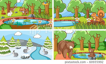 Background scenes of animals in the wild 60935992