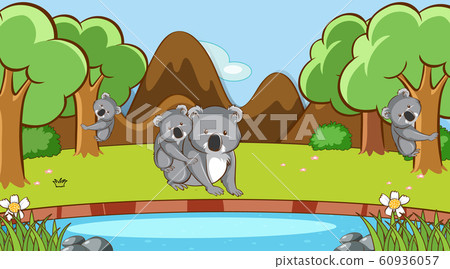 Scene with koala in forest - Stock Illustration [60936057] - PIXTA