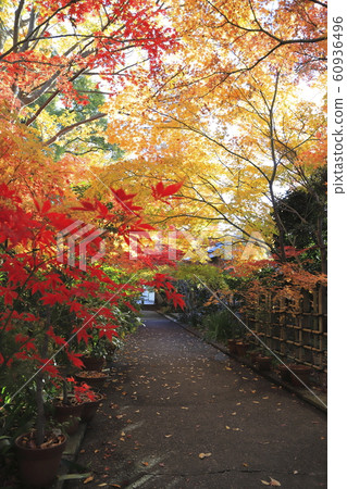 Yakushiji Temple Iko Adachi-ku, Tokyo 60936496