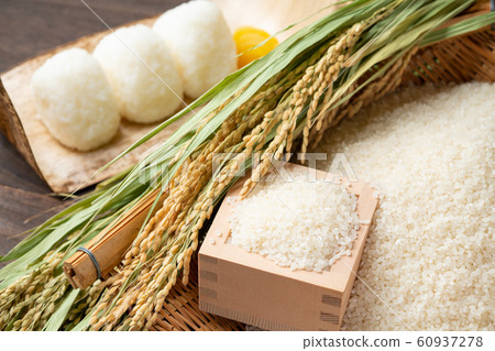 Rice and rice ball 60937278