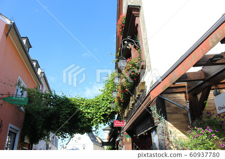 Rudesheim Petsugumi橫丁 60937780