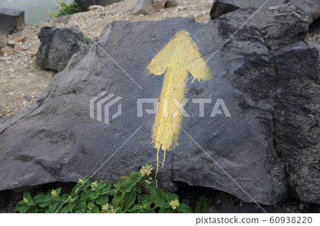 Climbing family 60938220