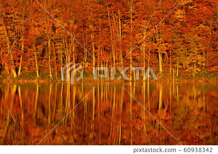 Autumn Tsunanuma 60938342