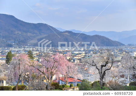 Kamiyama City, Yamagata Prefecture Tsukioka Park and Kaminoyama Onsen Cityscape Sakura 60938720