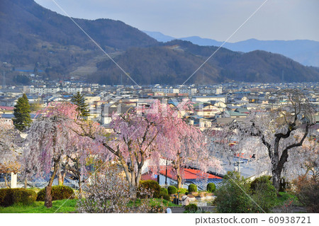 Kamiyama City, Yamagata Prefecture Tsukioka Park and Kaminoyama Onsen Cityscape Sakura 60938721