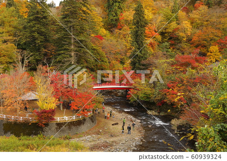 Mountain Momiji 60939324