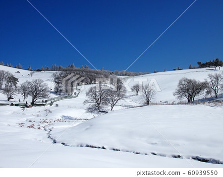 大關嶺與雪 60939550