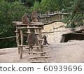 Sitting and resting monkeys 60939696