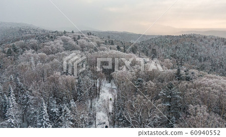 Aerial view of a winter snow-covered pine forest. Winter forest texture. 60940552