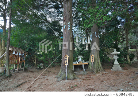 [Shelf machine shrine] Ota small Tanabata, Katsuragi-shi, Nara 60942493