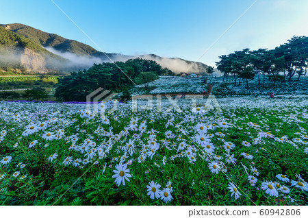 Necklace Necklace 60942806