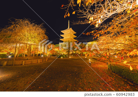 Toji Pagoda Temple with red maple leaves or fall 60942983