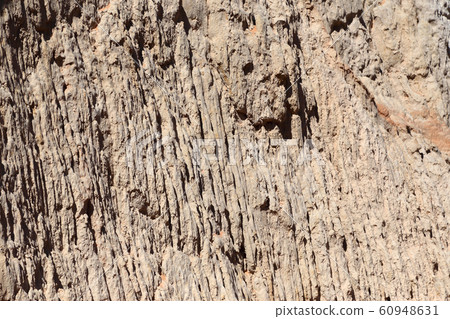 Fairy Stream Canyon 60948631