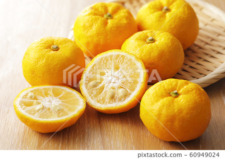 Citron  60949024