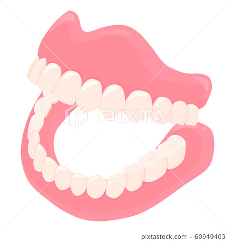 上下假牙的插圖 上下假牙的插圖 60949403