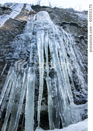 Icicle hangs from a rock in a winter nature. The Icicle hangs from a rock in a winter nature. The 60950170