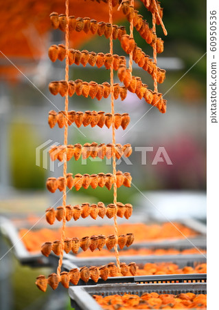 Kusaki no Sato Kusaki no Sato 60950536